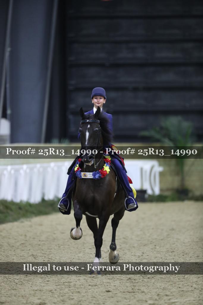 Proof 25R13_14990