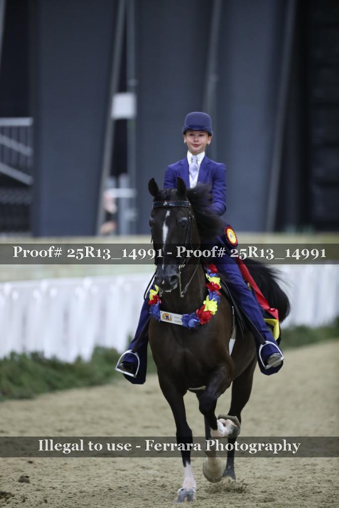 Proof 25R13_14991