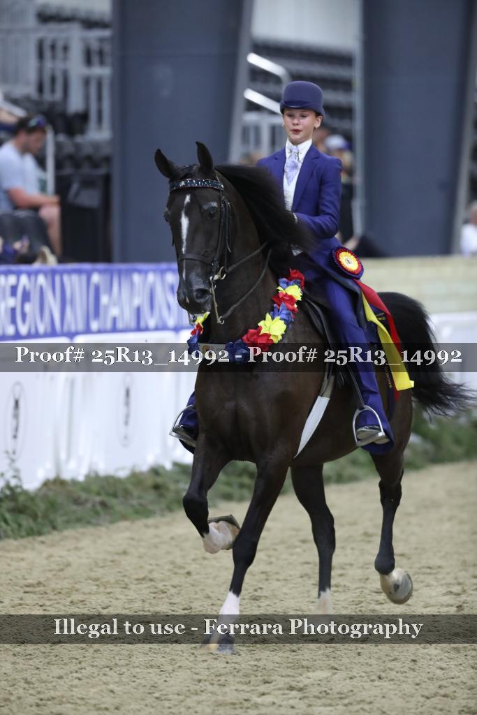 Proof 25R13_14992