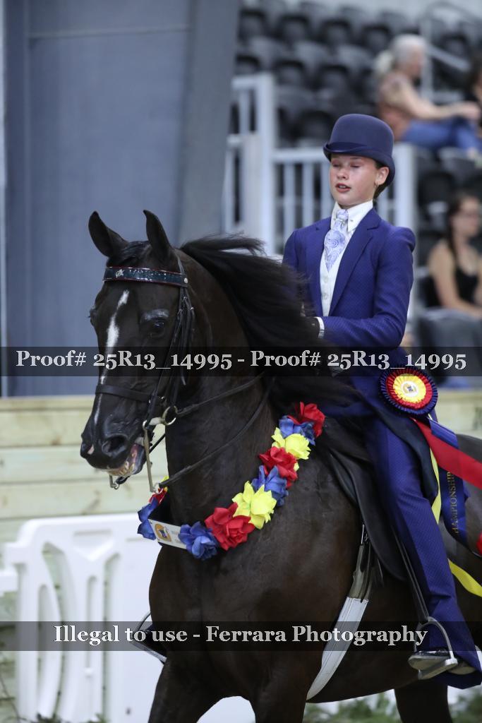Proof 25R13_14995
