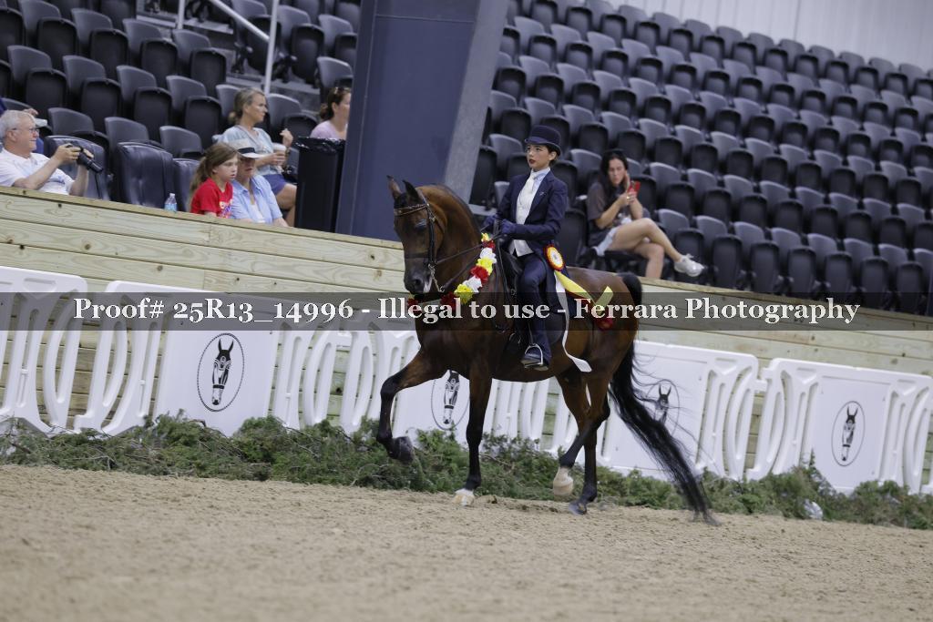 Proof 25R13_14996