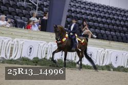 25R13_14996 proof