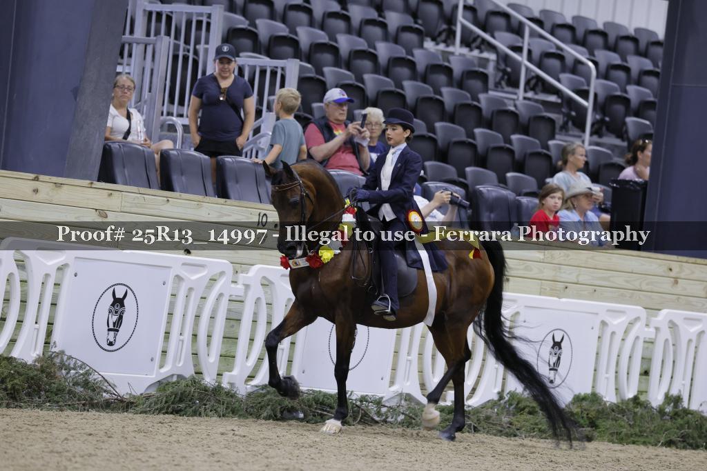 Proof 25R13_14997