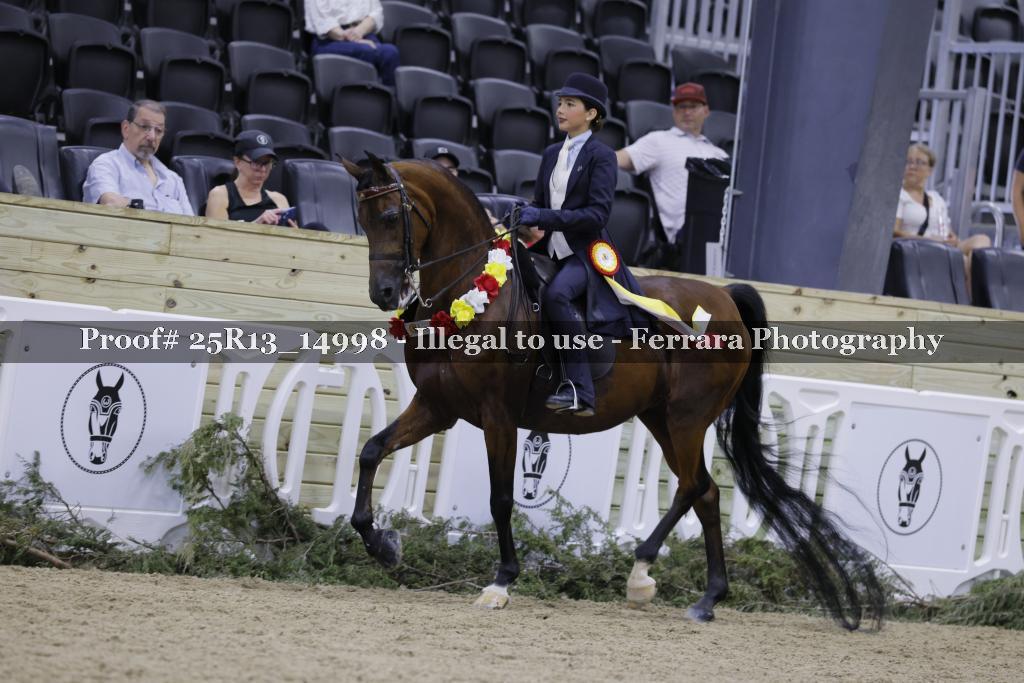 Proof 25R13_14998