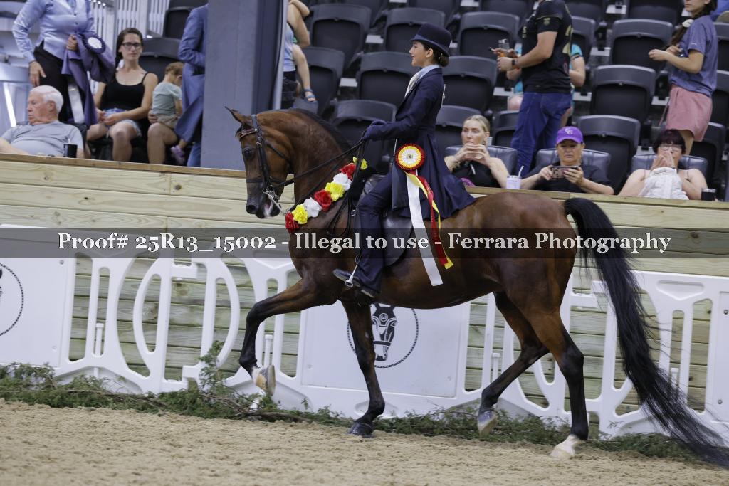 Proof 25R13_15002