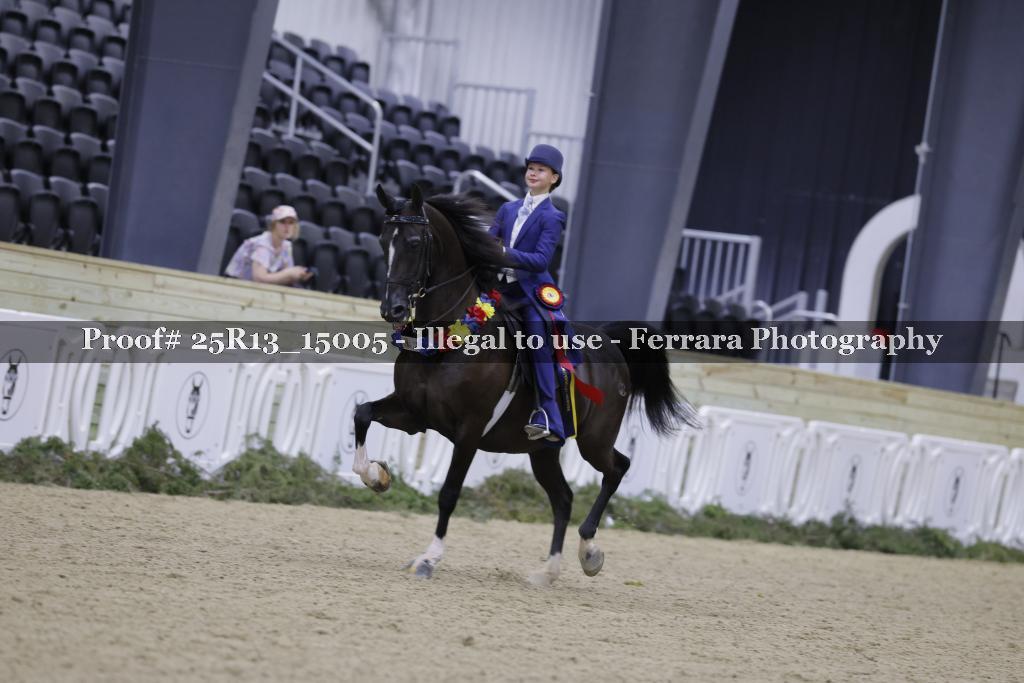 Proof 25R13_15005