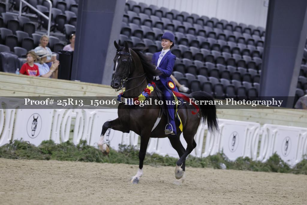 Proof 25R13_15006