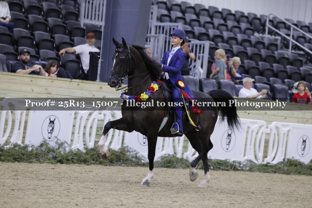 Proof 25R13_15007