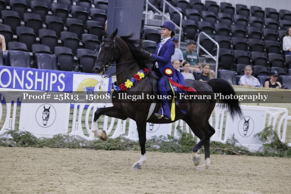 Proof 25R13_15008