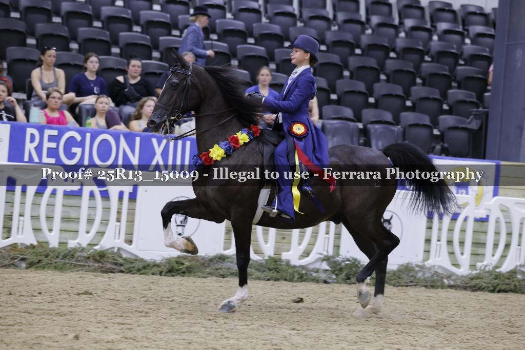Proof 25R13_15009
