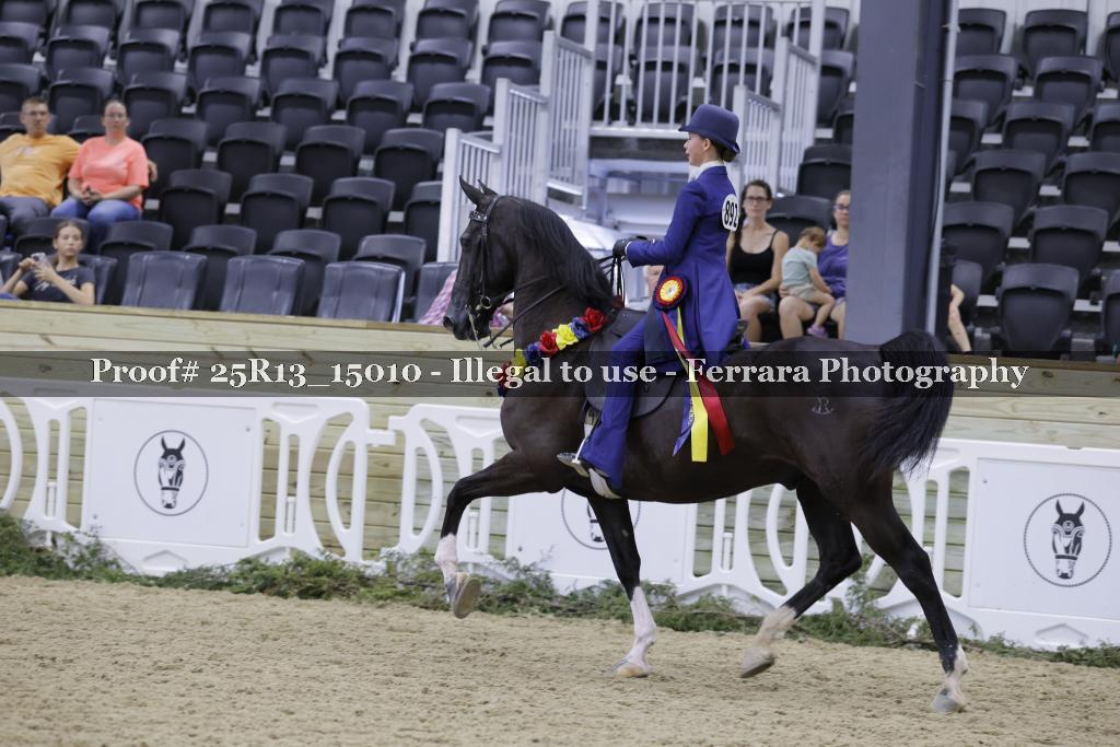 Proof 25R13_15010