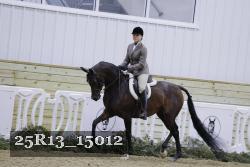 25R13_15012 proof