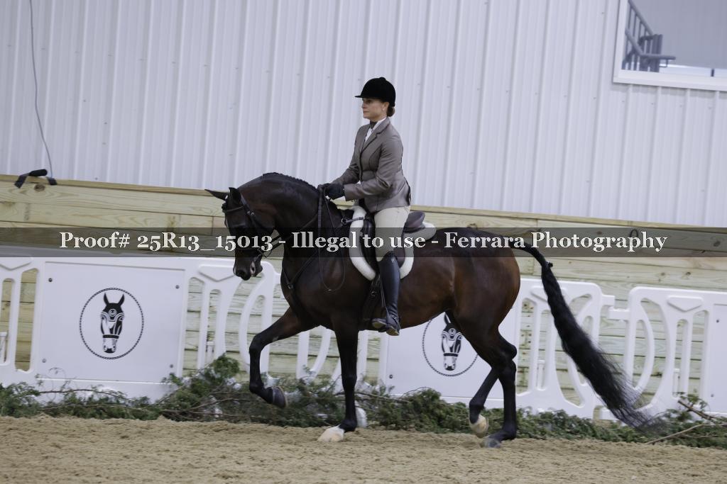 Proof 25R13_15013