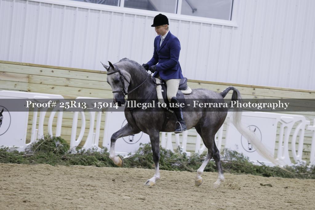 Proof 25R13_15014