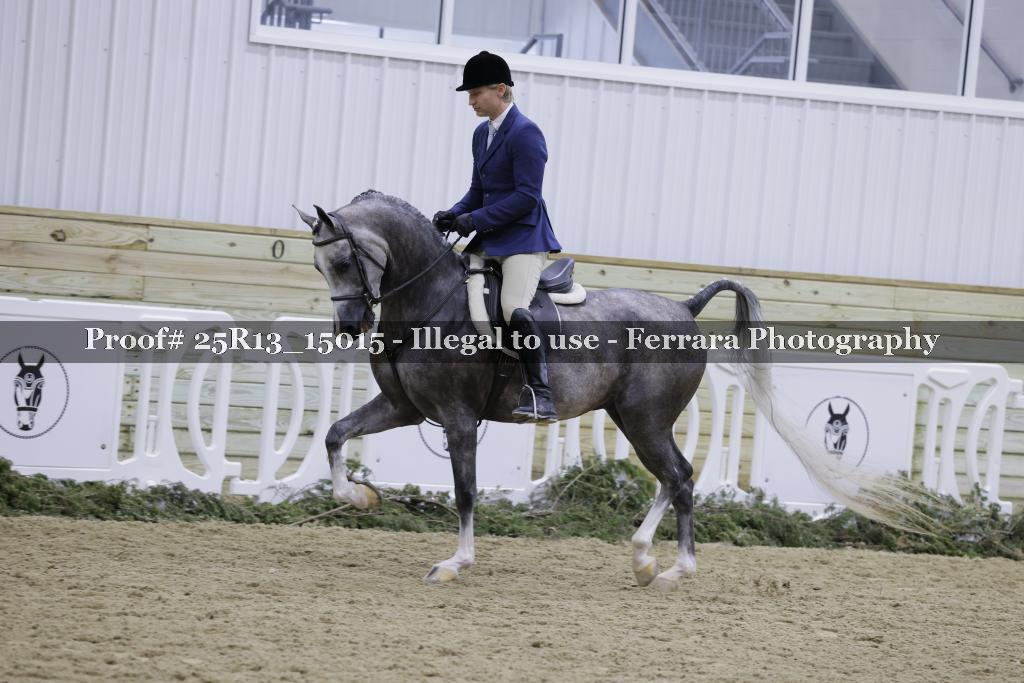 Proof 25R13_15015
