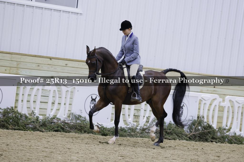 Proof 25R13_15016