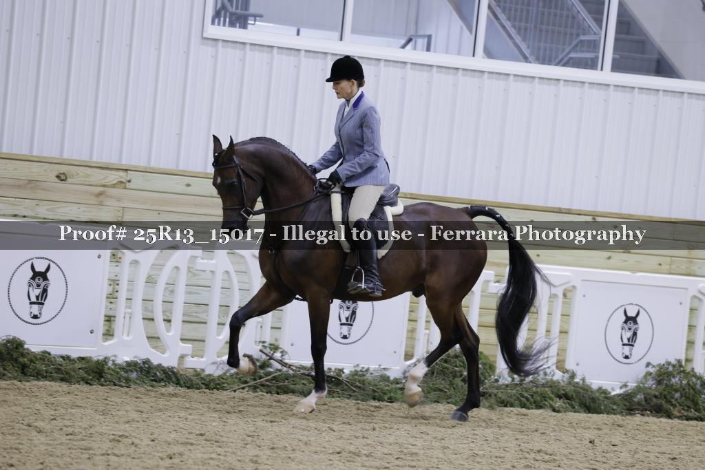 Proof 25R13_15017