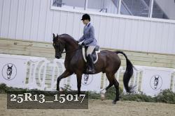 25R13_15017 proof