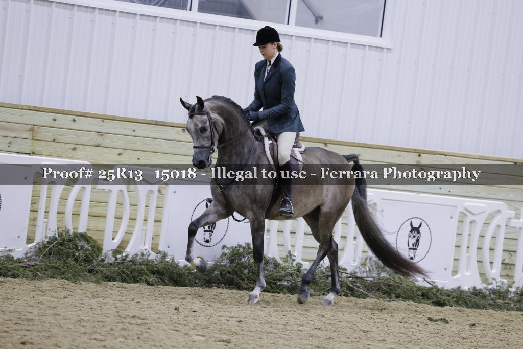 Proof 25R13_15018