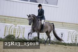 25R13_15018 proof