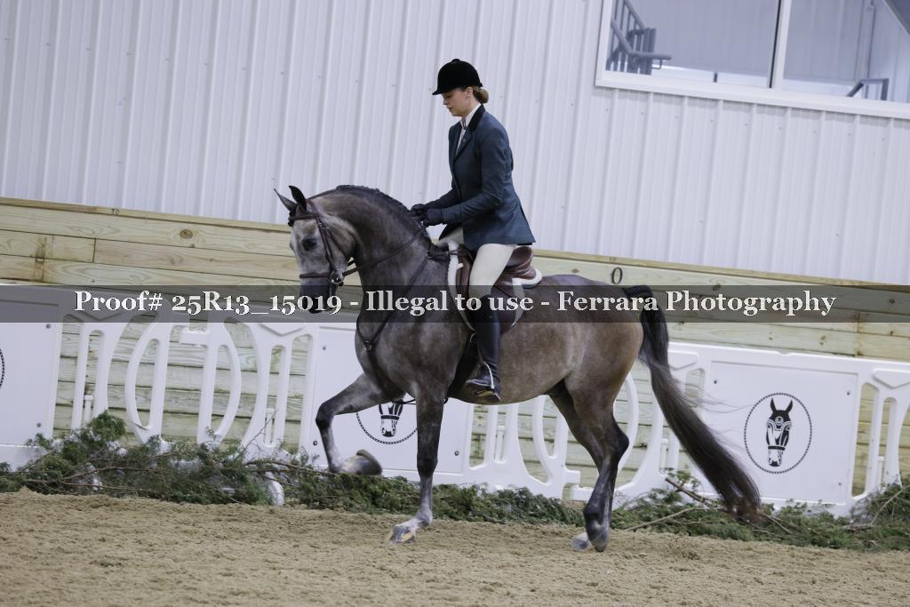 Proof 25R13_15019