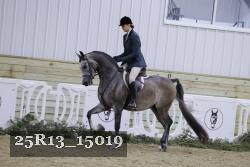 25R13_15019 proof