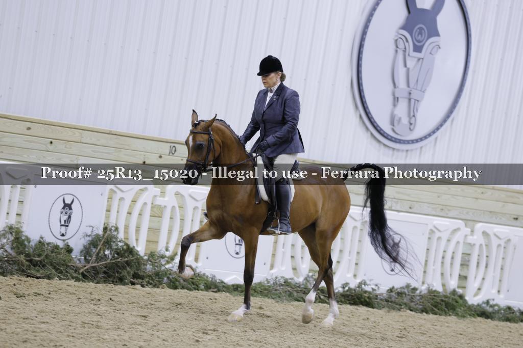 Proof 25R13_15020