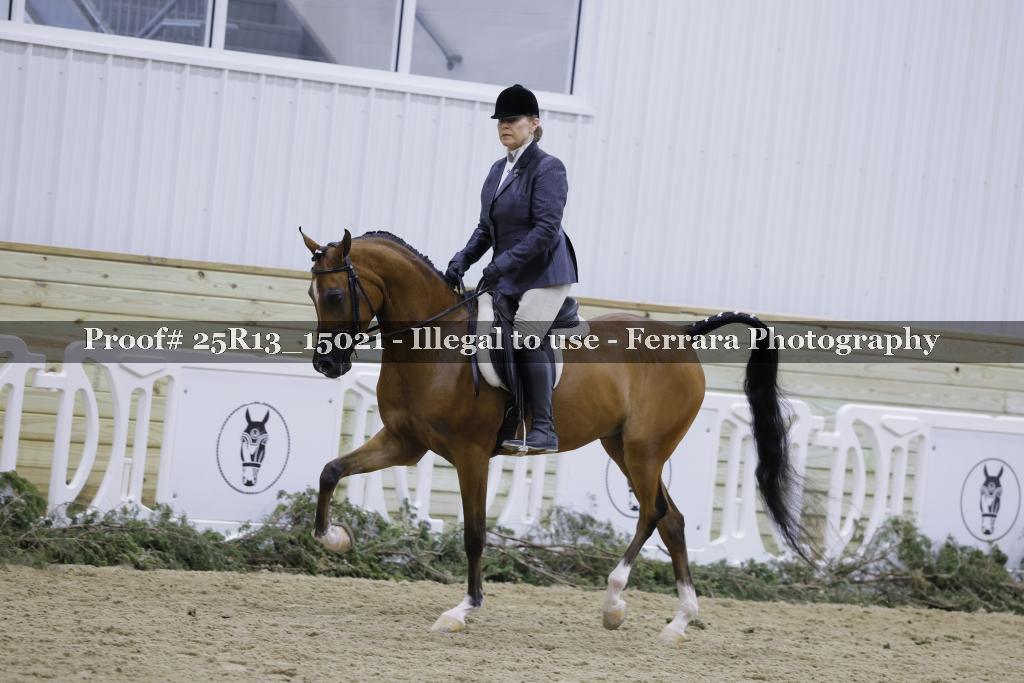 Proof 25R13_15021