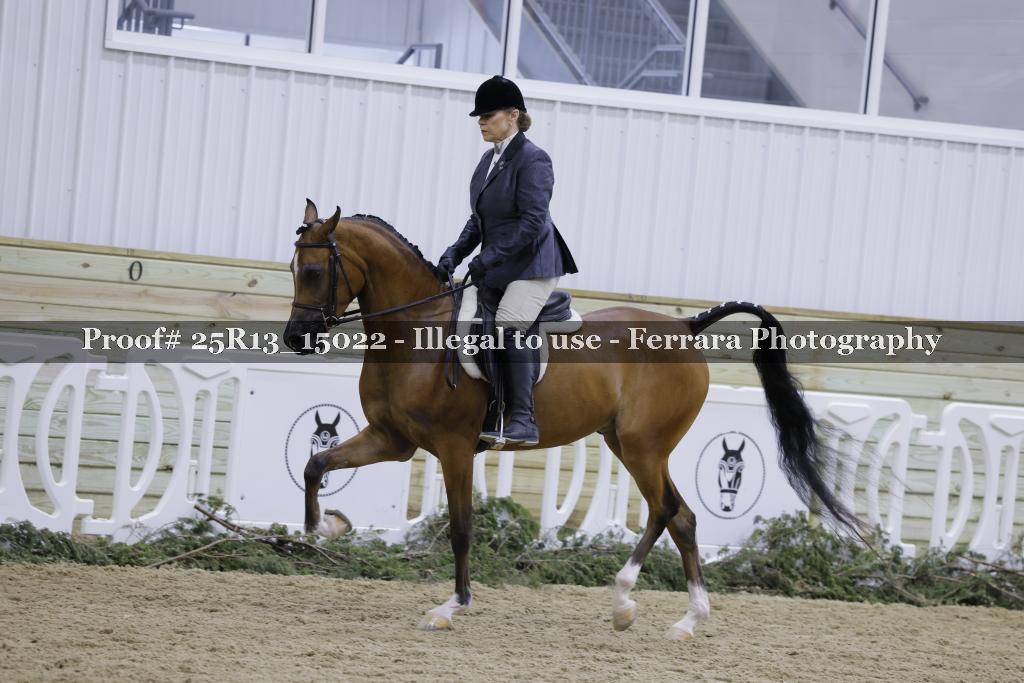 Proof 25R13_15022
