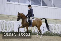 25R13_15022 proof
