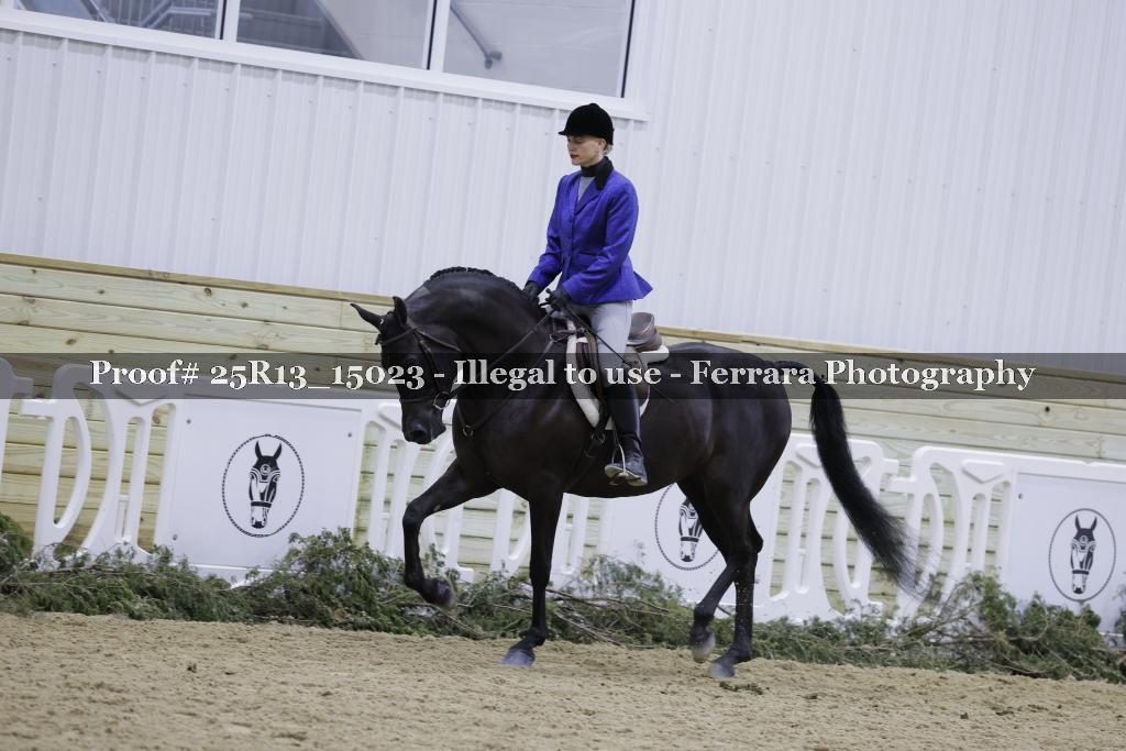 Proof 25R13_15023
