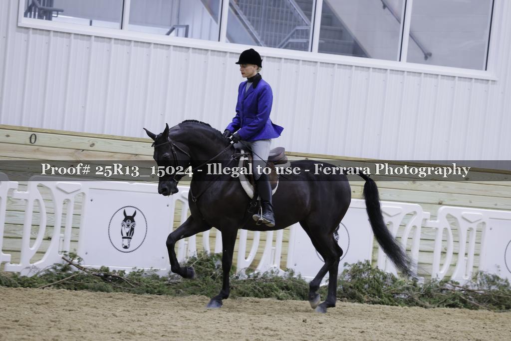 Proof 25R13_15024