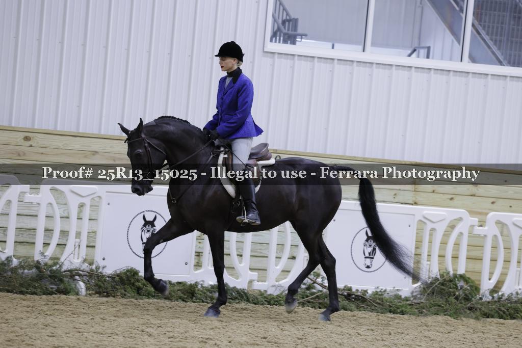 Proof 25R13_15025