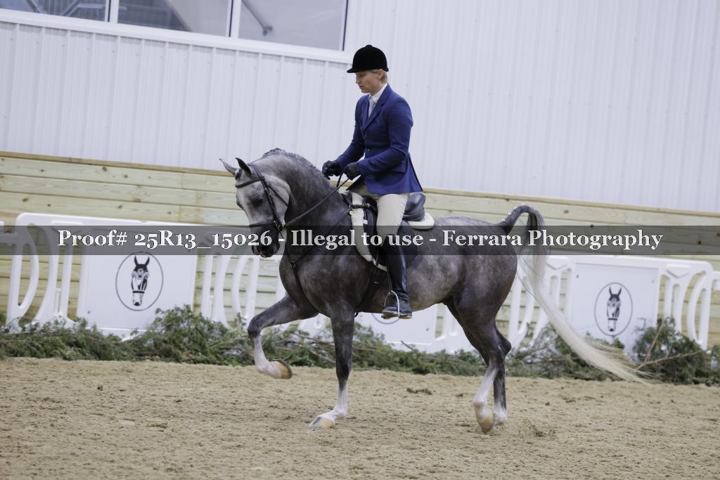 Proof 25R13_15026