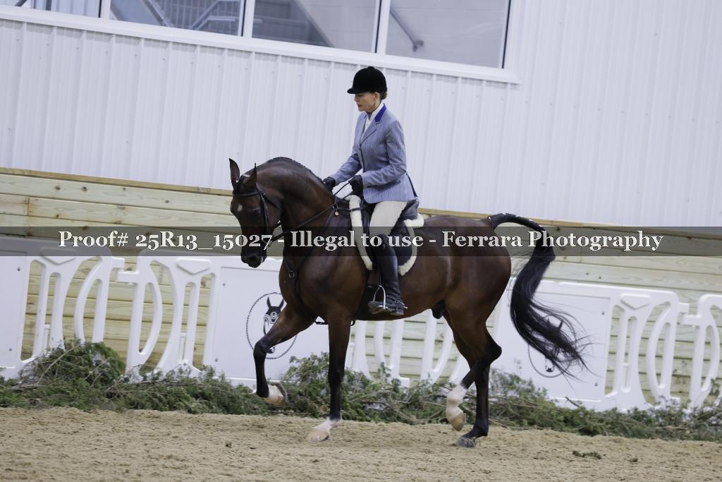 Proof 25R13_15027