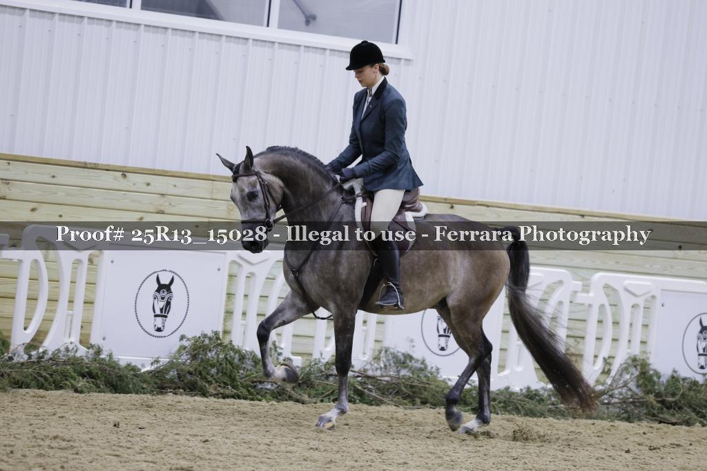 Proof 25R13_15028