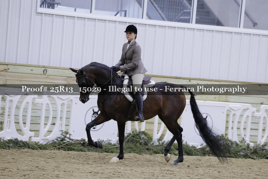 Proof 25R13_15029