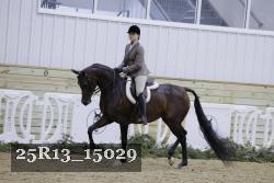 25R13_15029 proof