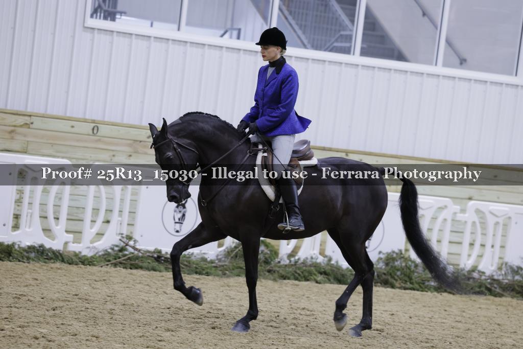 Proof 25R13_15030