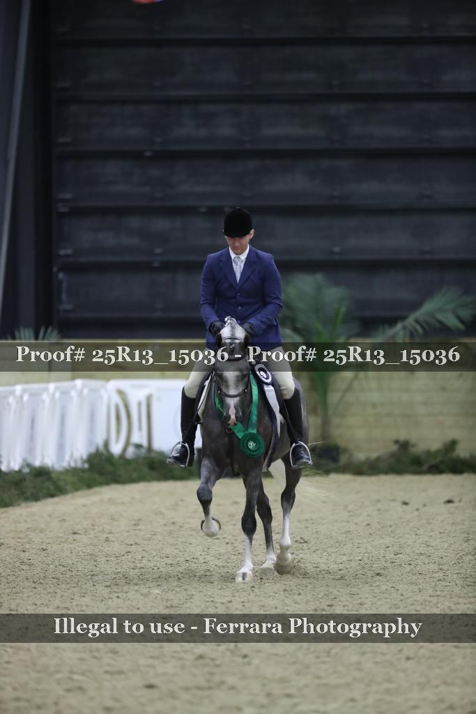 Proof 25R13_15036