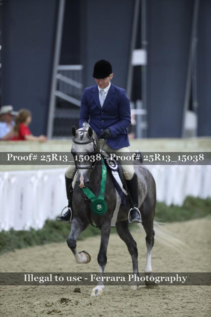 Proof 25R13_15038