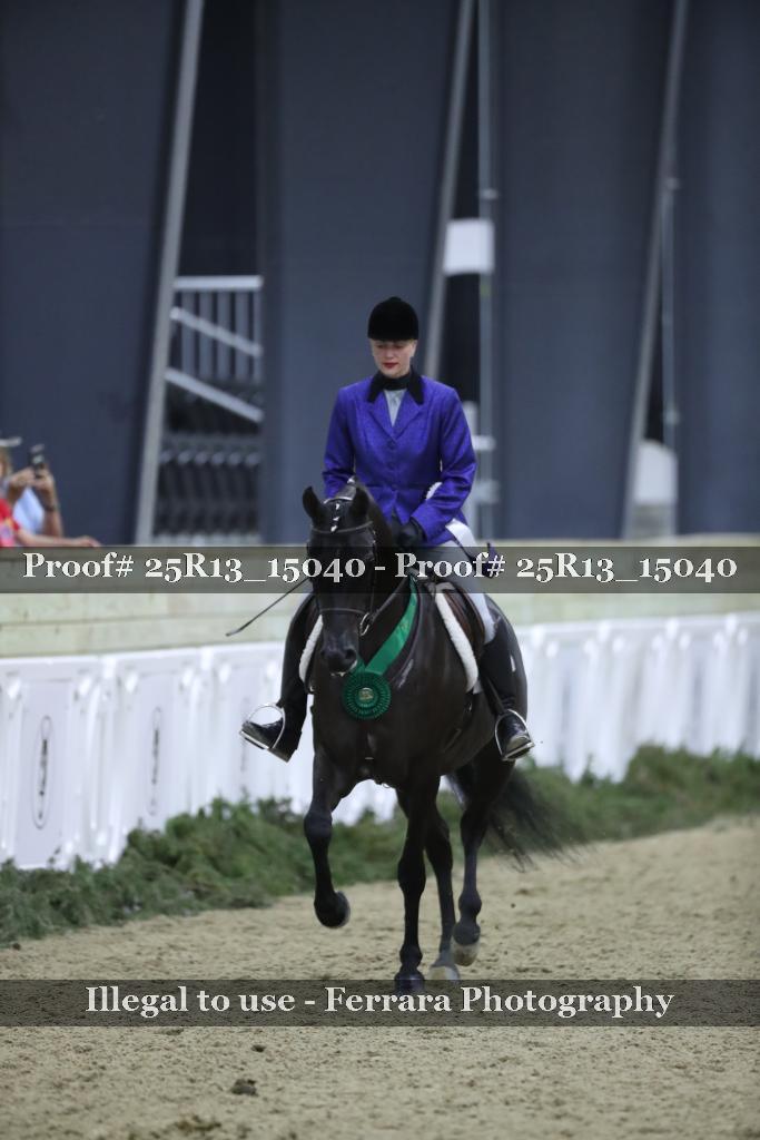 Proof 25R13_15040