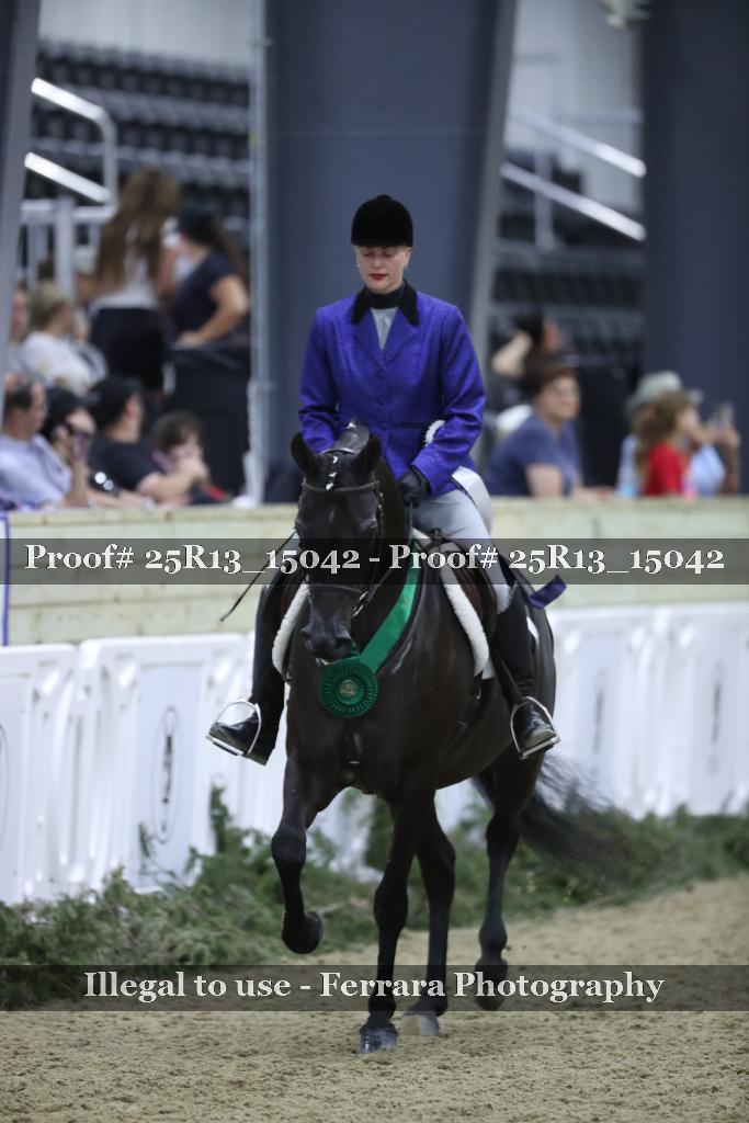 Proof 25R13_15042