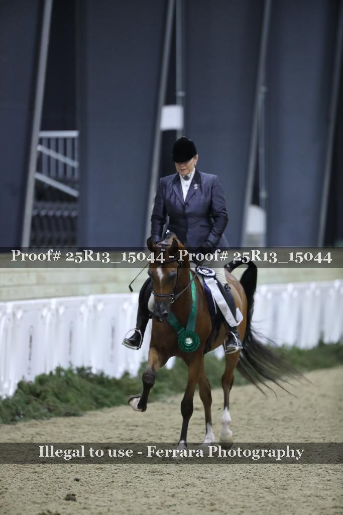 Proof 25R13_15044