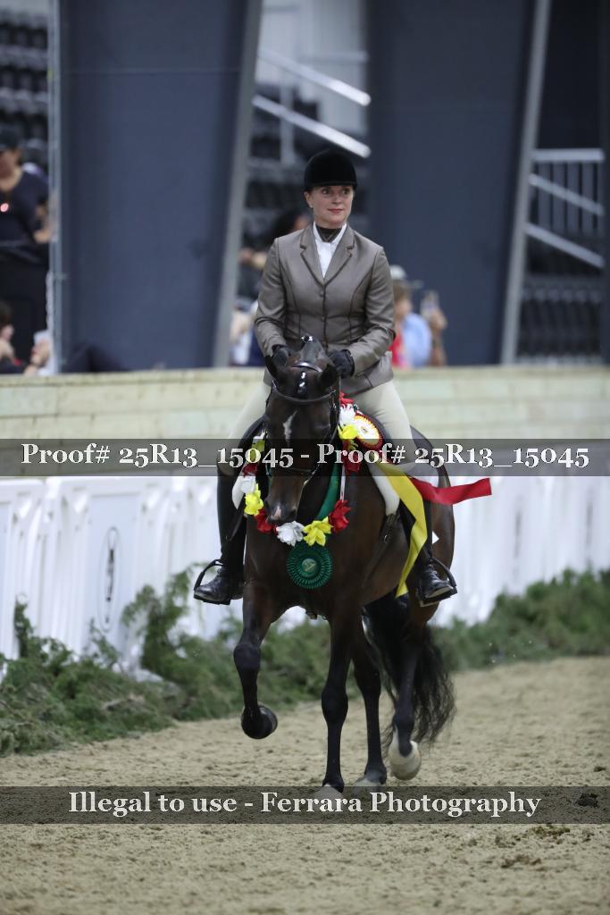 Proof 25R13_15045