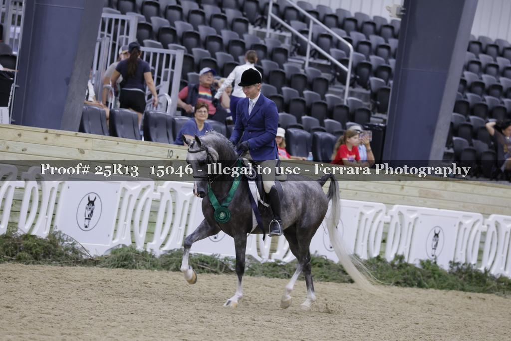 Proof 25R13_15046