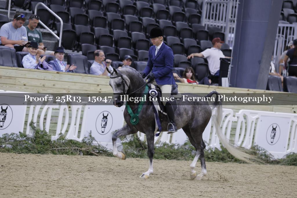 Proof 25R13_15047