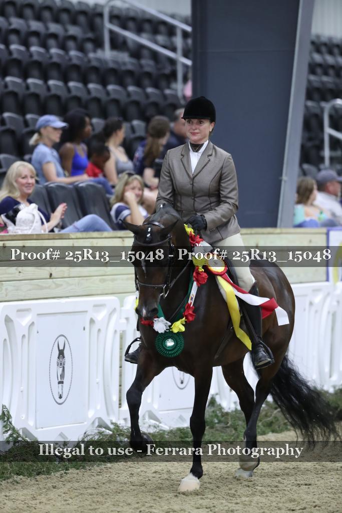 Proof 25R13_15048