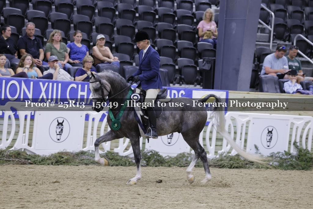 Proof 25R13_15049