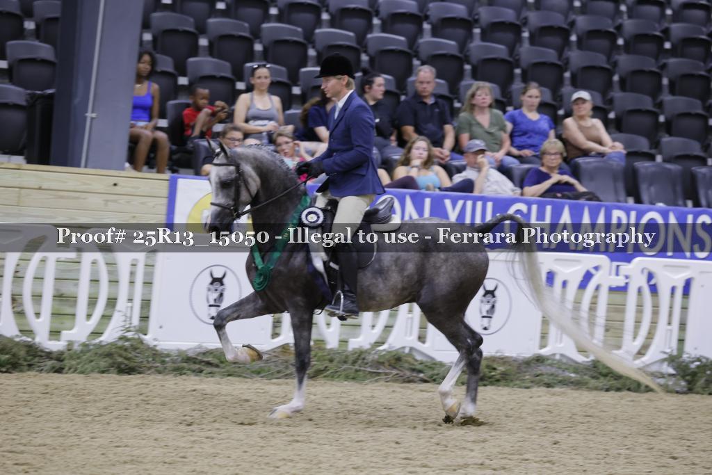 Proof 25R13_15050